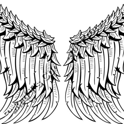 ES3wing01BW Thumbnail