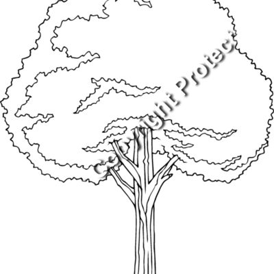 es3tree11bw Thumbnail