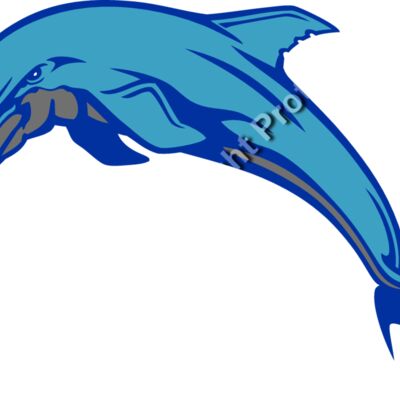 ES3dolphin03clr Thumbnail