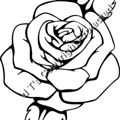 es3flower08bw Thumbnail