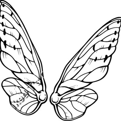 ES3wing04bw Thumbnail