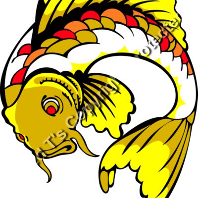 es3asiankoi10clr Thumbnail