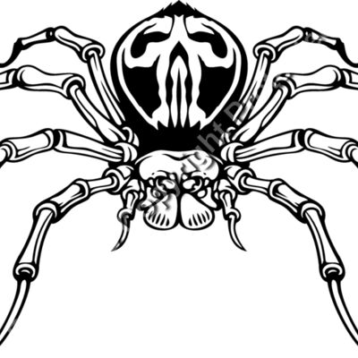 es3spider04bw Thumbnail