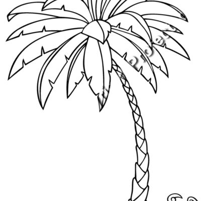 es3tree15bw Thumbnail