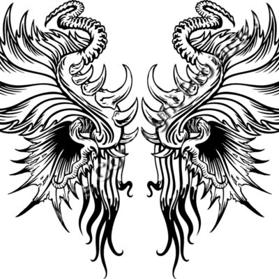 ES3wing13bw Thumbnail