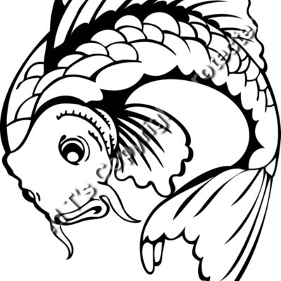 es3asiankoi10bw Thumbnail