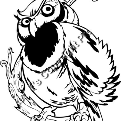 ES3owl02bw Thumbnail