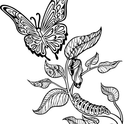 ES3butterfly05bw Thumbnail