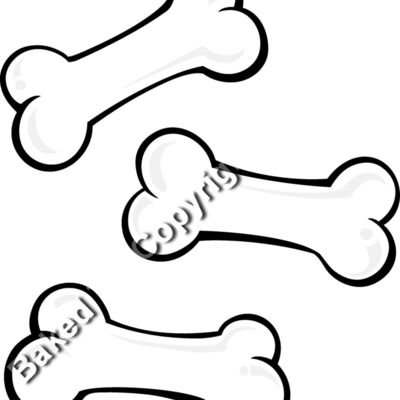 ES3bones02clr Thumbnail