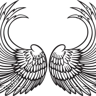 ES3wing03bw Thumbnail