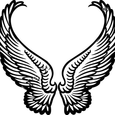 ES3wing07bw Thumbnail