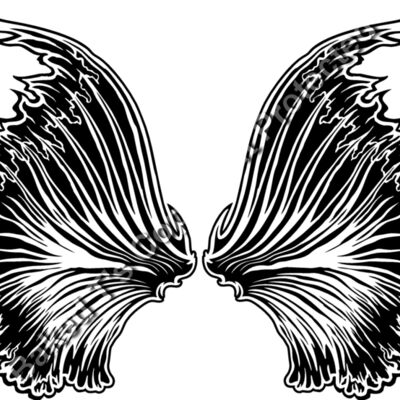 ES3wing05bw Thumbnail