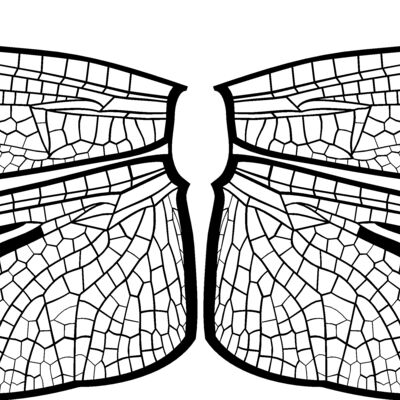 ES3wing14bw Thumbnail