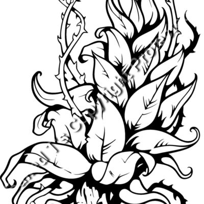 ES3leaves05bw Thumbnail