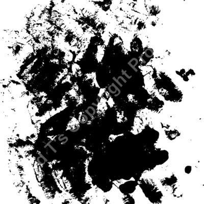 ES3splat16bw Thumbnail