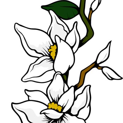 ES3flower05clr Thumbnail