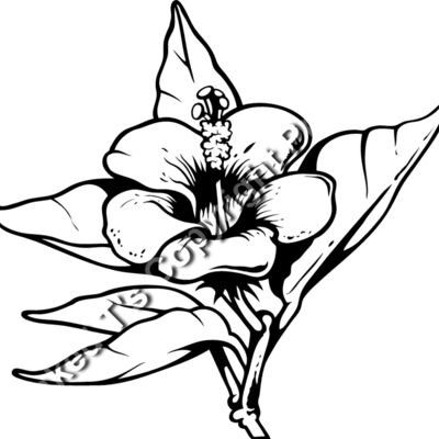 ES3tropical01bw Thumbnail