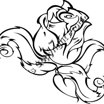 ES3rose04bw Thumbnail