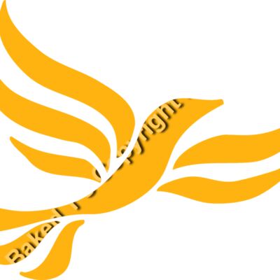 LiberalDem Thumbnail