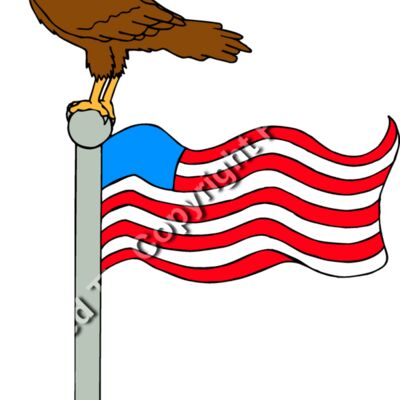 EAGLENFLAG1 Thumbnail