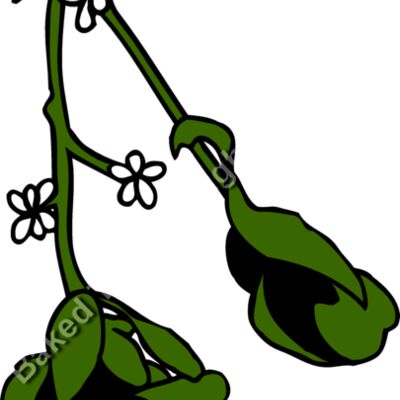 mistletoe2 Thumbnail