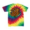 Youth Multi-Color Spiral Tie-Dyed T-Shirt Thumbnail