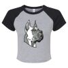 Women's Micro Rib Raglan Baby Tee Thumbnail