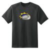 Dry Zone™ Short Sleeve Raglan T Shirt Thumbnail