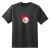 Dry Zone™ Short Sleeve Raglan T Shirt Thumbnail
