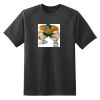 Dry Zone™ Short Sleeve Raglan T Shirt Thumbnail