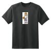 Dry Zone™ Short Sleeve Raglan T Shirt Thumbnail