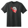Dry Zone™ Short Sleeve Raglan T Shirt Thumbnail
