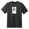 Dry Zone™ Short Sleeve Raglan T Shirt Thumbnail