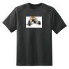 Dry Zone™ Short Sleeve Raglan T Shirt Thumbnail
