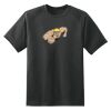 Dry Zone™ Short Sleeve Raglan T Shirt Thumbnail