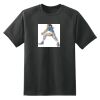 Dry Zone™ Short Sleeve Raglan T Shirt Thumbnail
