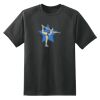 Dry Zone™ Short Sleeve Raglan T Shirt Thumbnail