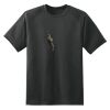 Dry Zone™ Short Sleeve Raglan T Shirt Thumbnail