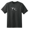 Dry Zone™ Short Sleeve Raglan T Shirt Thumbnail