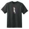 Dry Zone™ Short Sleeve Raglan T Shirt Thumbnail