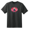 Dry Zone™ Short Sleeve Raglan T Shirt Thumbnail