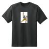 Dry Zone™ Short Sleeve Raglan T Shirt Thumbnail