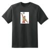 Dry Zone™ Short Sleeve Raglan T Shirt Thumbnail