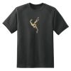 Dry Zone™ Short Sleeve Raglan T Shirt Thumbnail