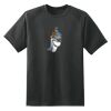 Dry Zone™ Short Sleeve Raglan T Shirt Thumbnail