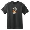 Dry Zone™ Short Sleeve Raglan T Shirt Thumbnail