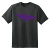 Dry Zone™ Short Sleeve Raglan T Shirt Thumbnail