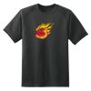 Dry Zone™ Short Sleeve Raglan T Shirt Thumbnail