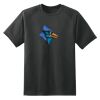 Dry Zone™ Short Sleeve Raglan T Shirt Thumbnail