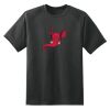 Dry Zone™ Short Sleeve Raglan T Shirt Thumbnail